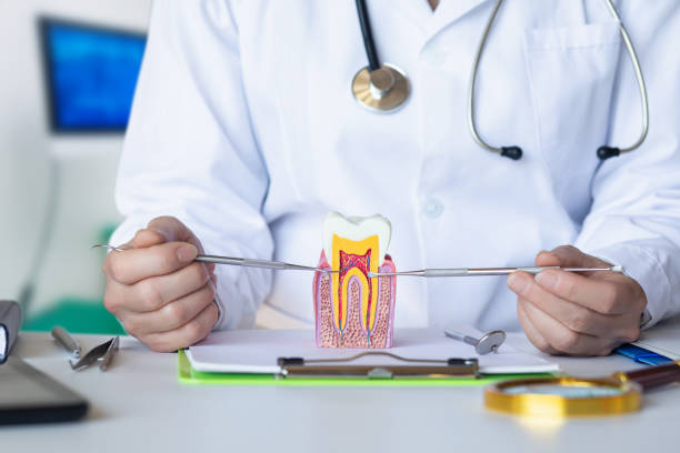 Best Emergency Root Canal Treatment in The Homesteads, TX